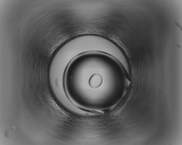 X0000099960585200806061607