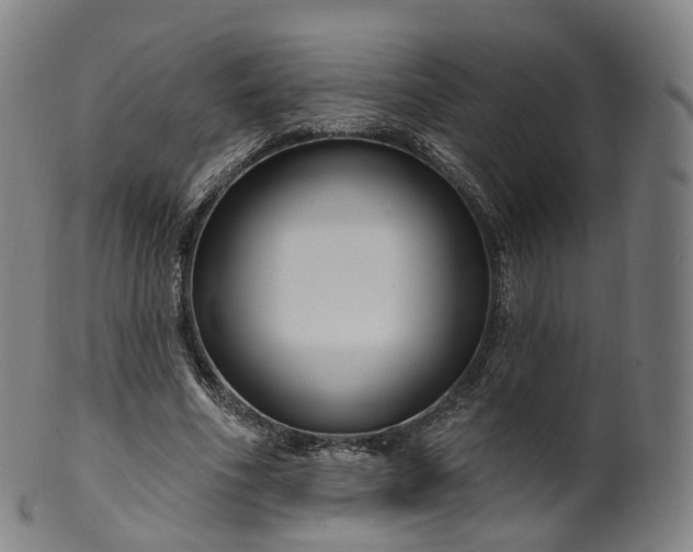 X0000099960586200806061607