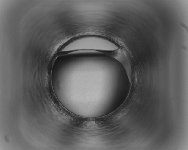 X0000099960588200806061607