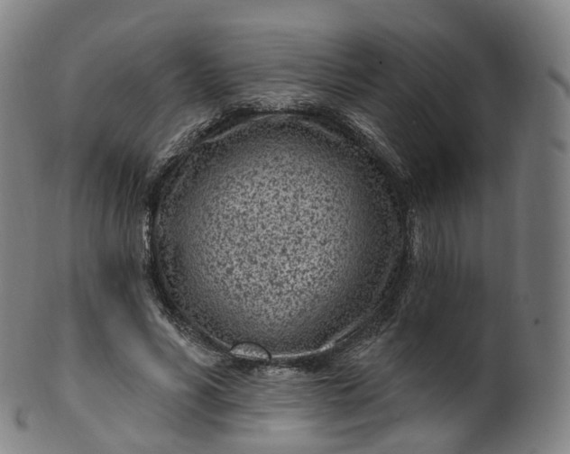 X0000099960590200806061607