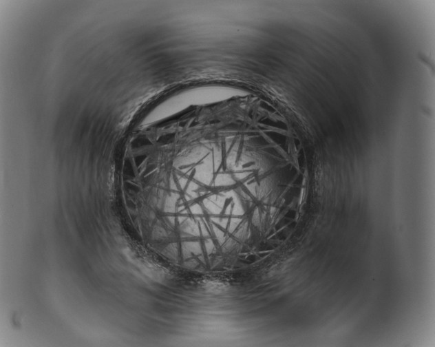 X0000099960592200806061607