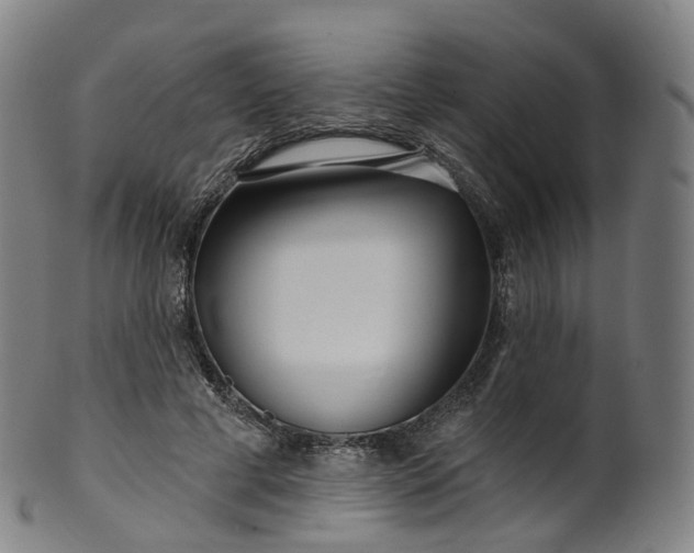 X0000099960593200806061607