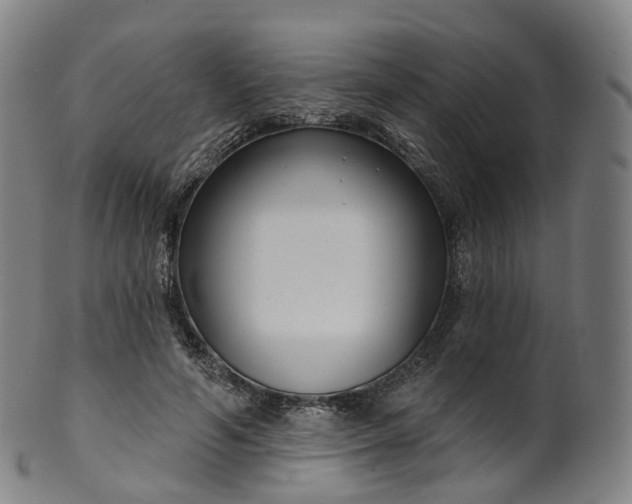 X0000099960594200806061607