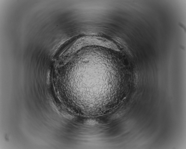 X0000099960596200806061607