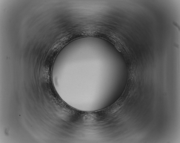 X0000099960599200806061607