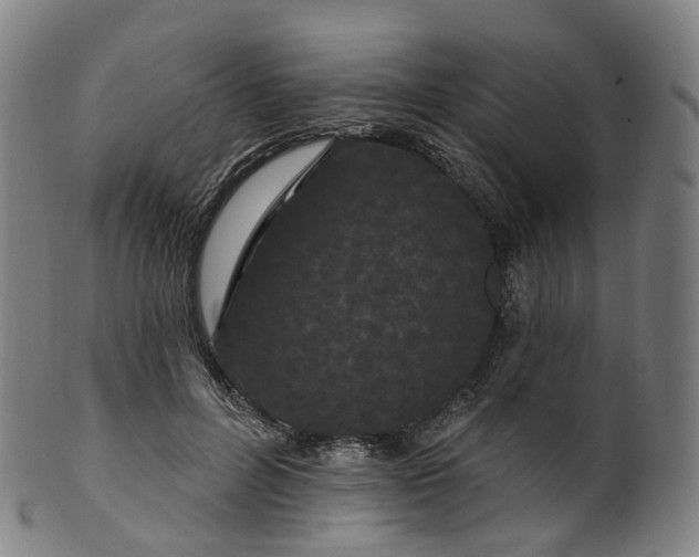 X0000099960600200806061607