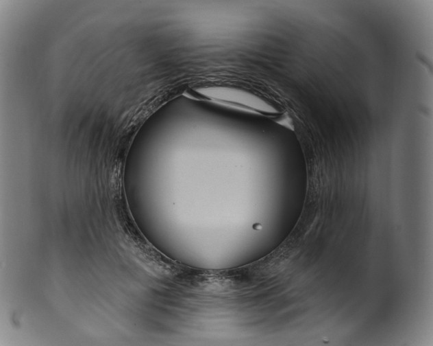 X0000099960601200806061607
