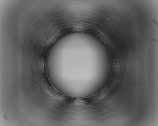 X0000099960603200806061607