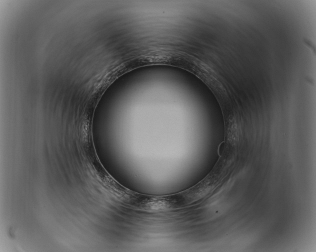 X0000099960604200806061607