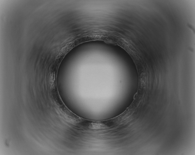 X0000099960605200806061607