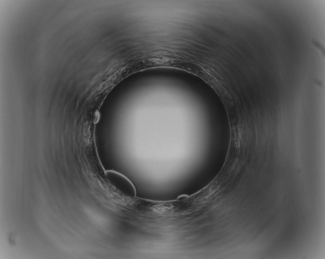 X0000099960606200806061607