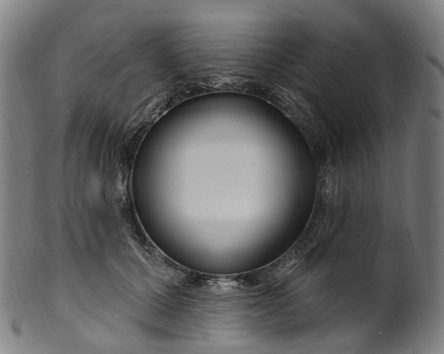 X0000099960607200806061607