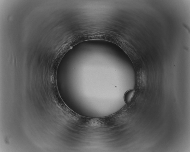 X0000099960608200806061607