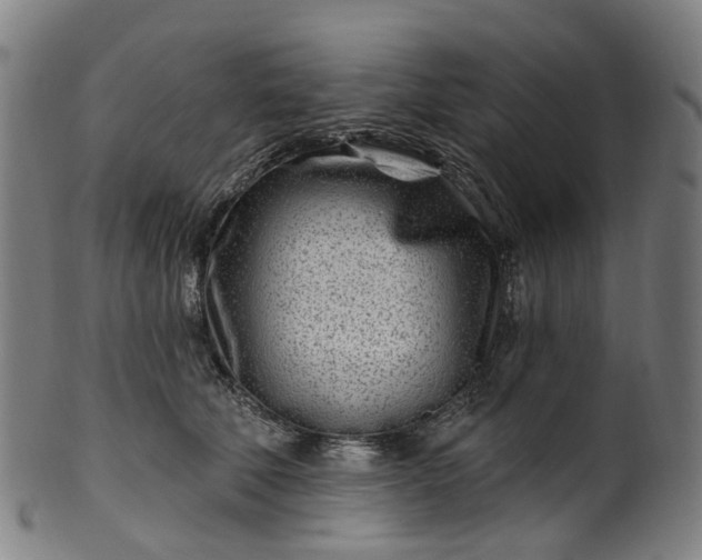X0000099960610200806061607