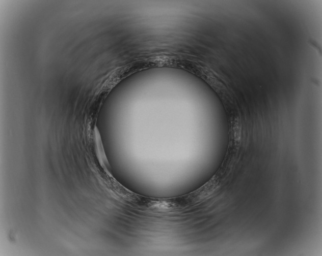 X0000099960611200806061607