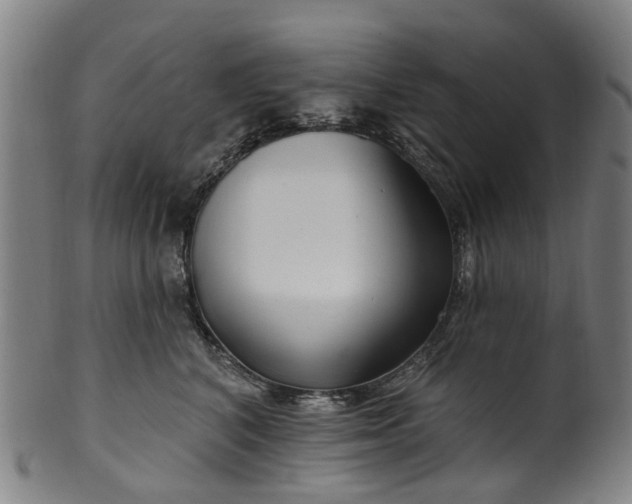 X0000099960616200806061607
