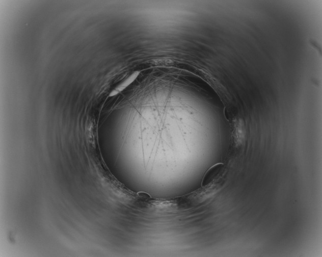X0000099960619200806061607