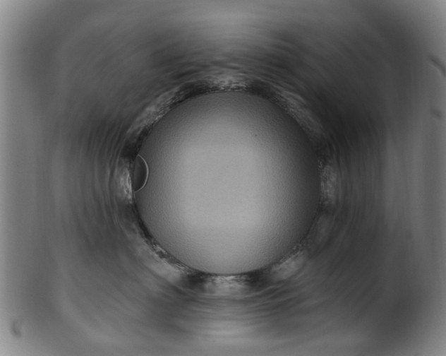 X0000099960622200806061607