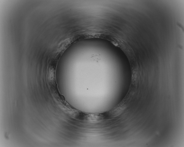 X0000099960623200806061607