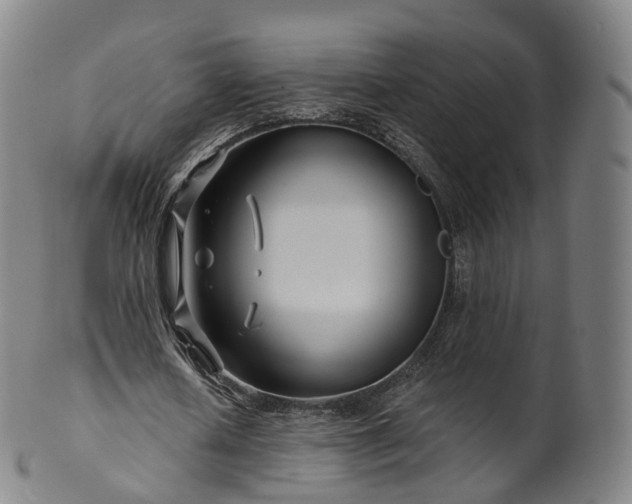X0000099960626200806061606