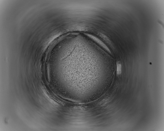 X0000099960627200806061606
