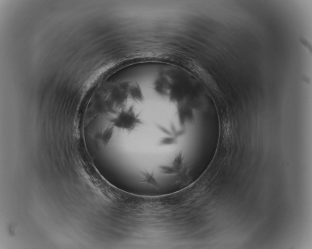 X0000099960628200806061606