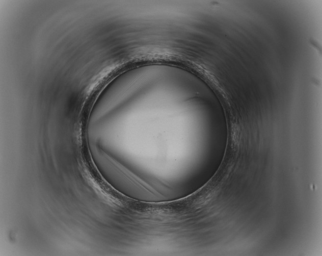 X0000099960629200806061606