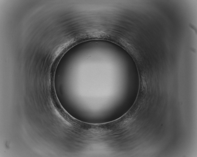 X0000099960630200806061606