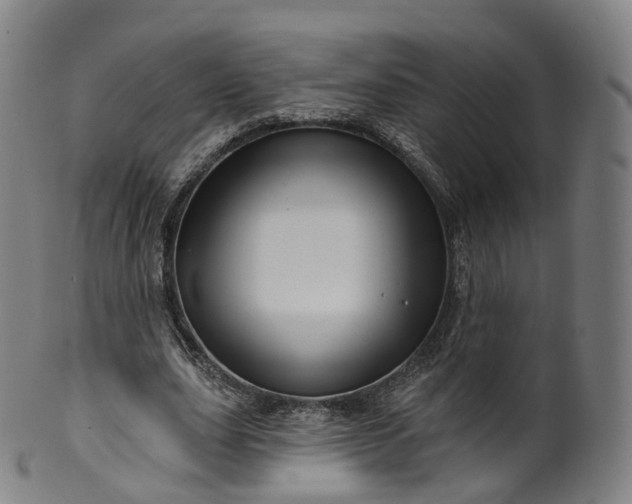 X0000099960631200806061606