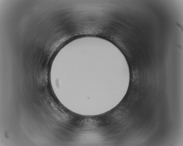 X0000099960632200806061606