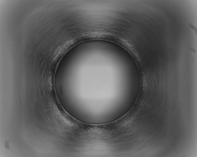 X0000099960633200806061606