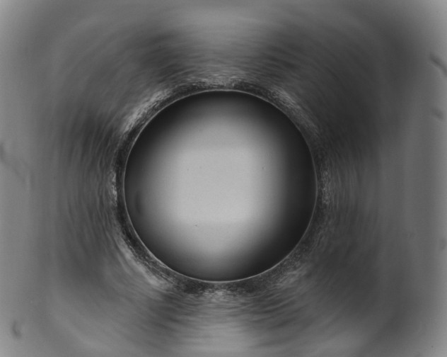 X0000099960634200806061606