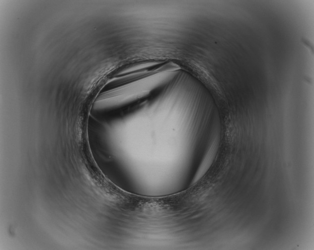 X0000099960635200806061606