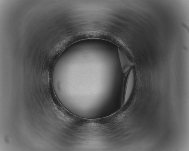 X0000099960637200806061606