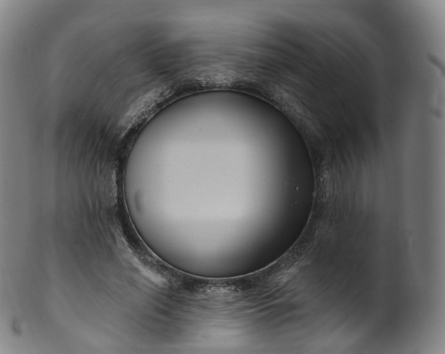 X0000099960638200806061606