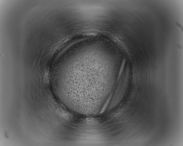 X0000099960641200806061606