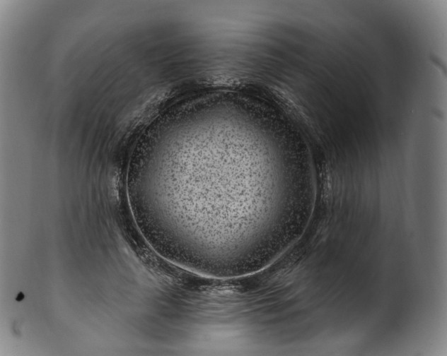 X0000099960643200806061606