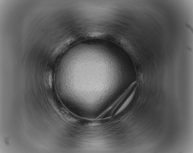 X0000099960644200806061606