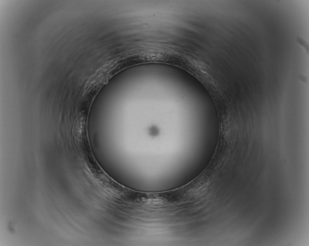 X0000099960645200806061606