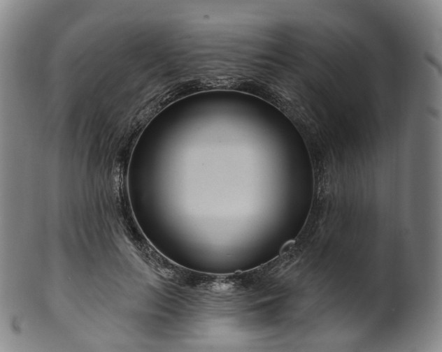 X0000099960647200806061607
