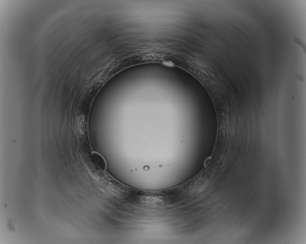 X0000099960649200806061607
