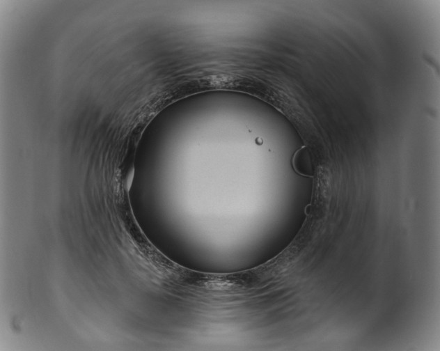 X0000099960650200806061607