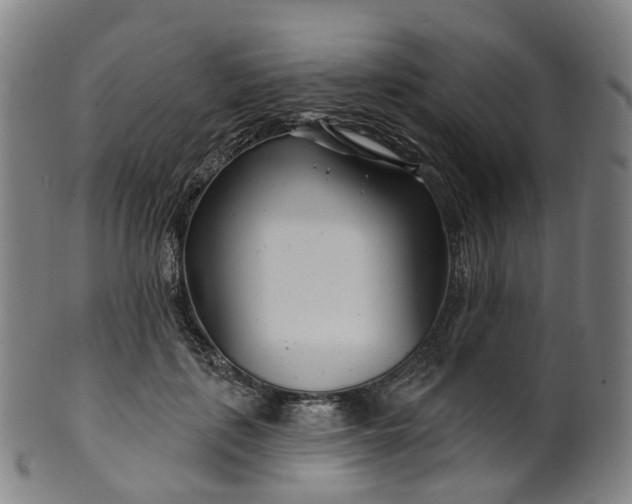 X0000099960651200806061607