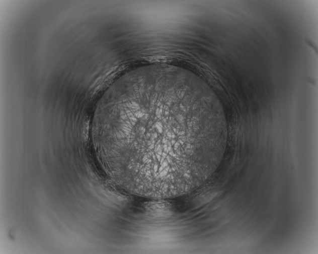 X0000099960652200806061607