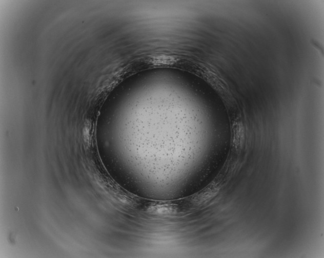 X0000099960655200806061607