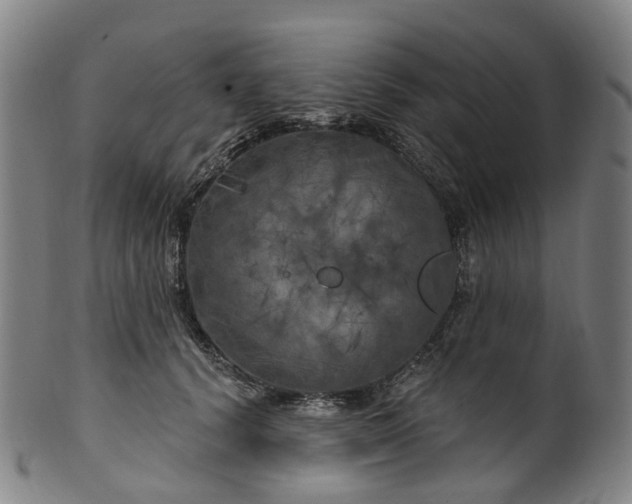 X0000099960656200806061607
