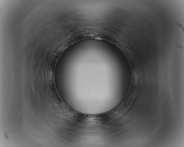X0000099960657200806061607