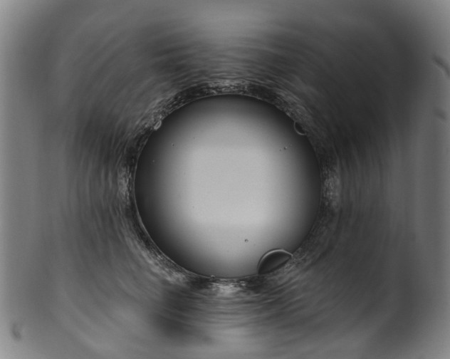 X0000099960662200806061607