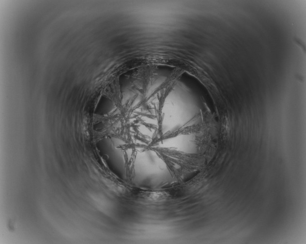 X0000099960663200806061607