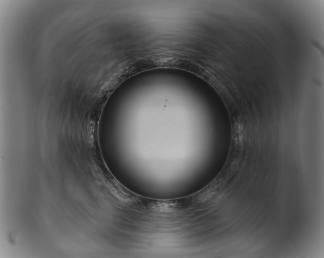 X0000099960664200806061607